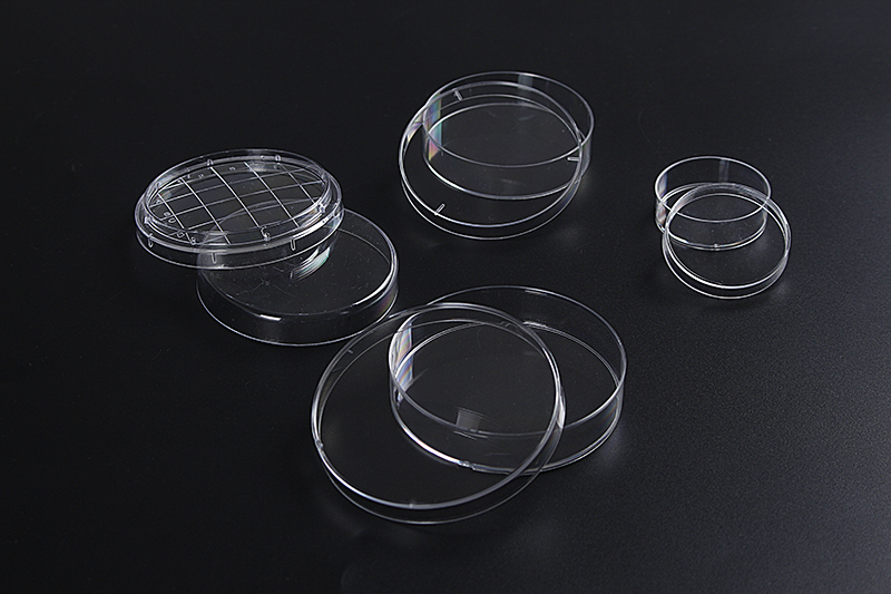 plastic-petri-culture-dish.jpg