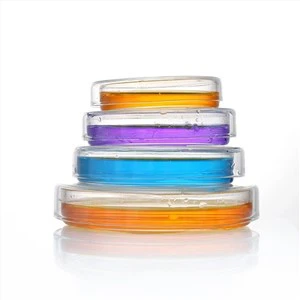 glass-petri-culture-dish06547745834.webp