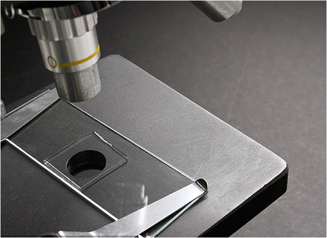 microscope slides.png