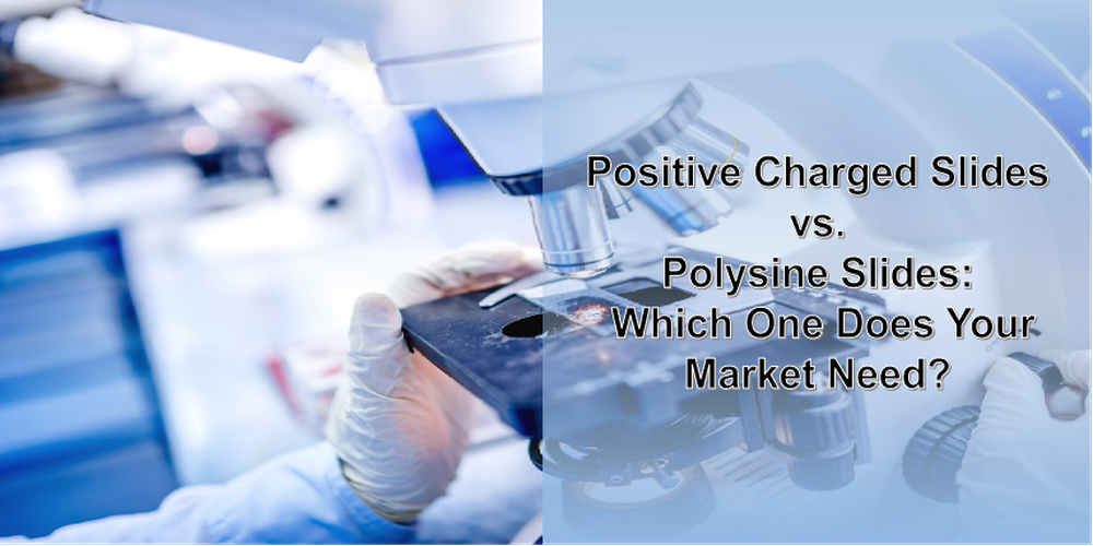 positive charged microscope.png